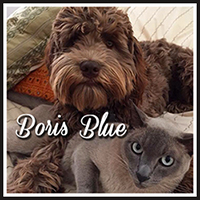 BorisBlue_200