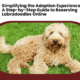 easily reserve Labradoodles online
